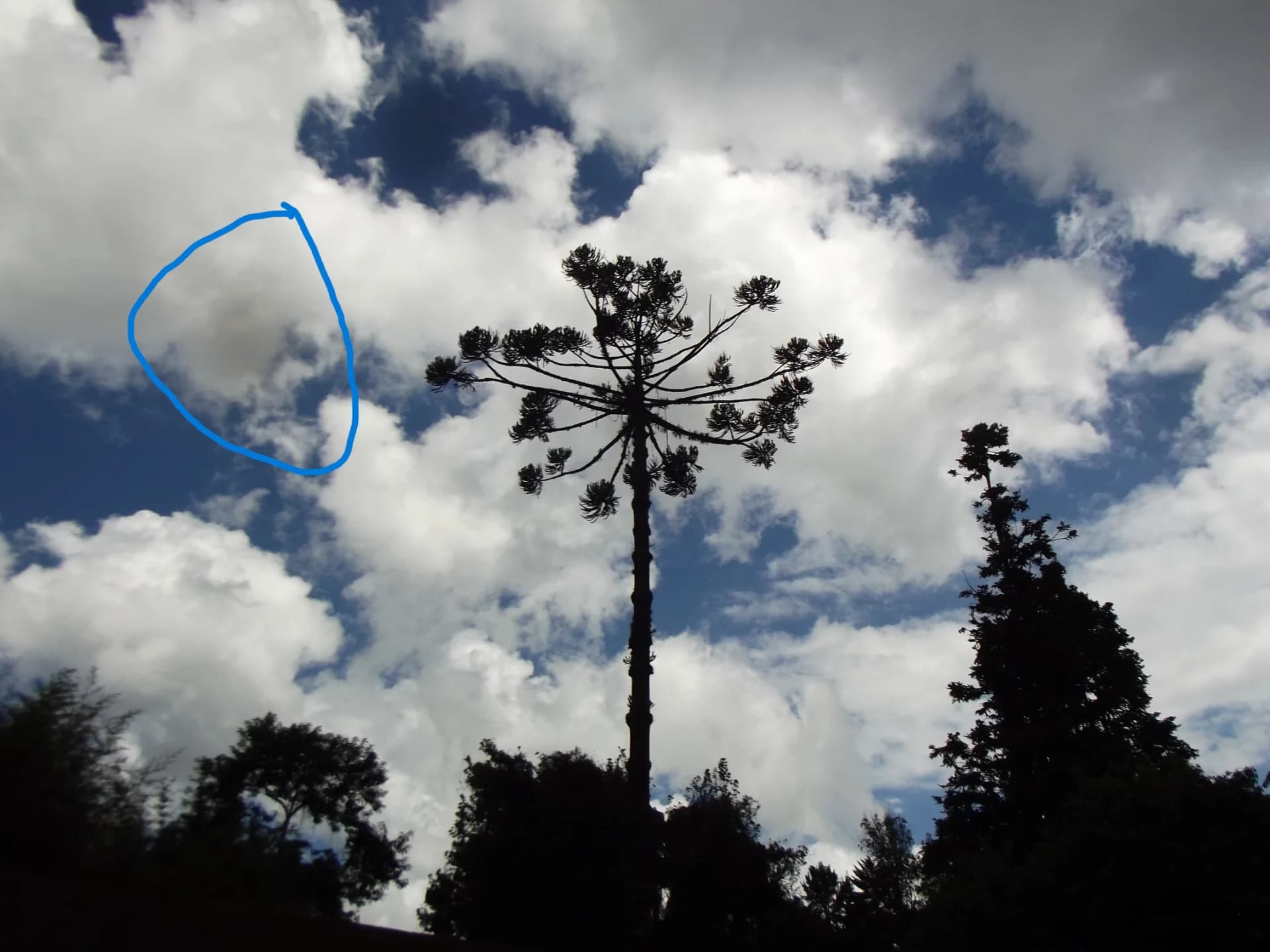 Amostra — Fujifilm FinePix S2950 - Câmera Digital SEMIPROFISSIONAL